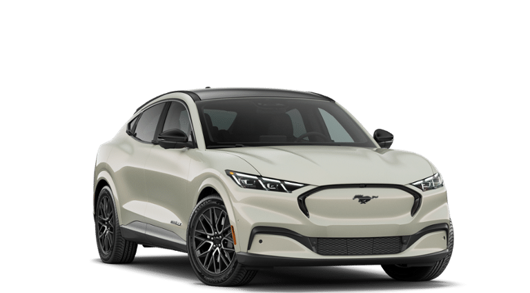 Mustang Mach-E® vehicle